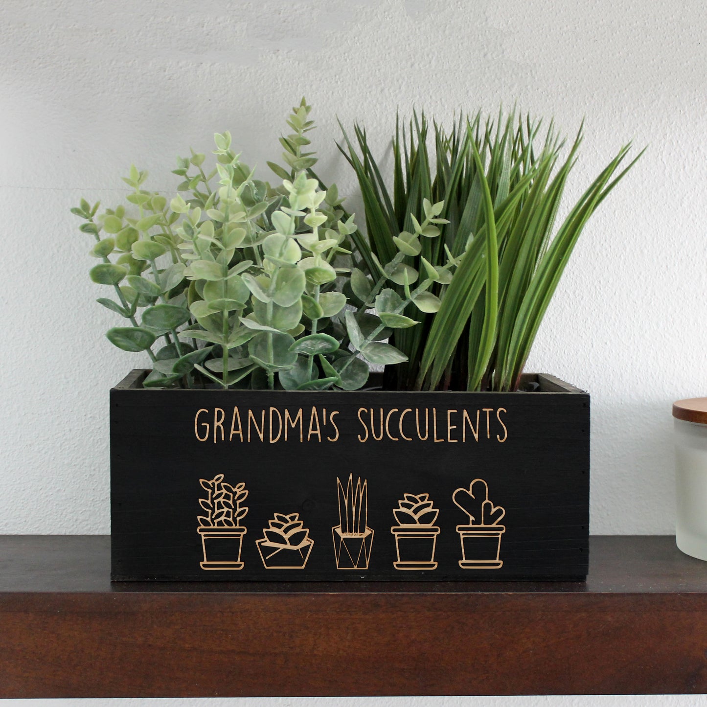 Wood Planter Box | Succulents
